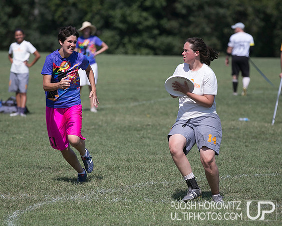 Capital Sectionals Sunday 2014