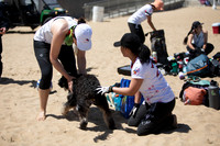 Saturday - 2024 Beach Championships