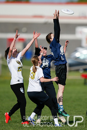 Day 2 of USA Ultimate 2022 D-III College Championships.