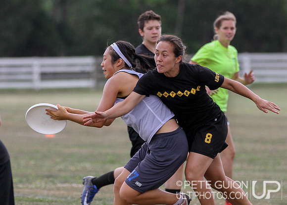 Chesapeake Open