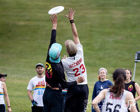 LVU's Disc Days of Summer