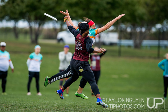 USA Ultimate Club National Championships