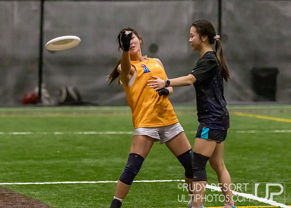 Season 2 Finals; Chicago Indoor Ultimate League