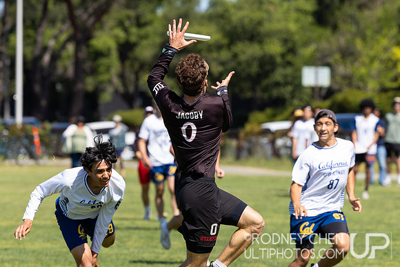 2025 USAU NorCal D1 Conference Championships