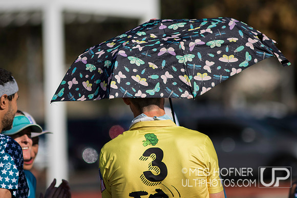 WFDF 2024 World Masters Ultimate Championships