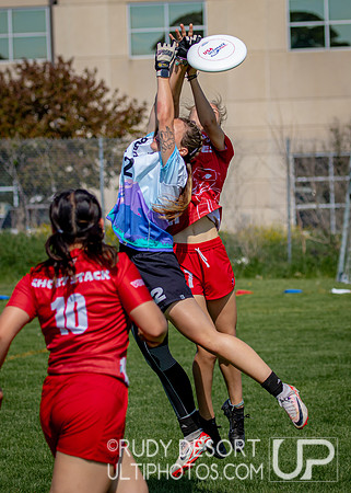 2024 USA Ultimate Division III College Championships ©