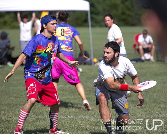 Capital Sectionals Sunday 2014