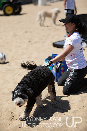 Saturday - 2024 Beach Championships