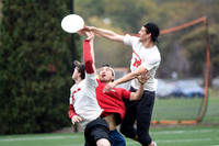 Harvard 40th Ultimate Reunion