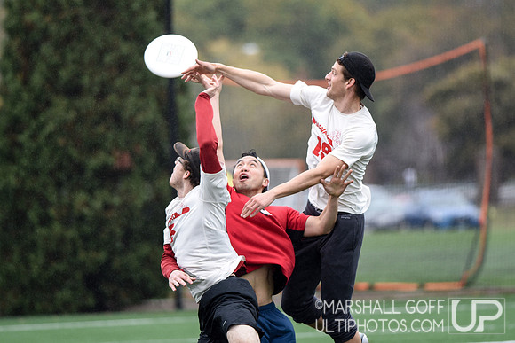 Harvard 40th Ultimate Reunion