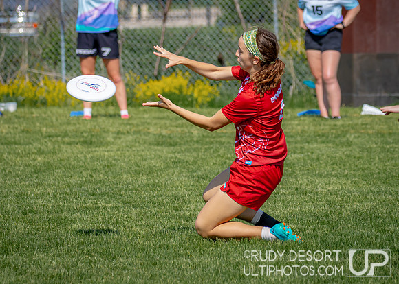 2024 USA Ultimate Division III College Championships ©