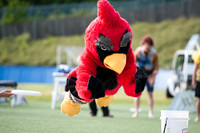Nighthawks_Stags_20140615_190623_JBP64