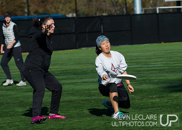 Harvard Ultimate Alumni v. current teams