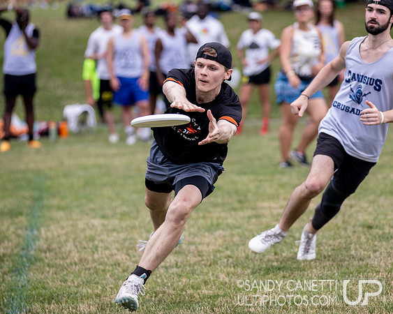 LVU's Disc Days of Summer