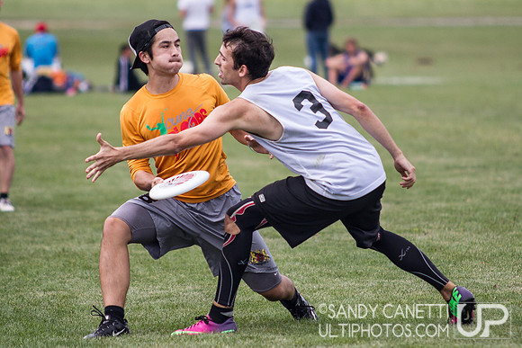 2013 USA Ultimate Metro New York Open Sectionals