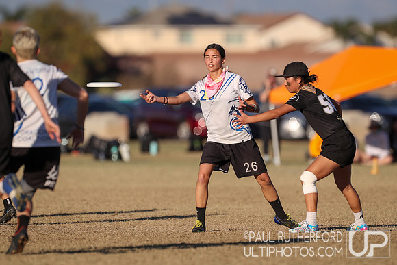 2021 USA Ultimate Division I College Championships