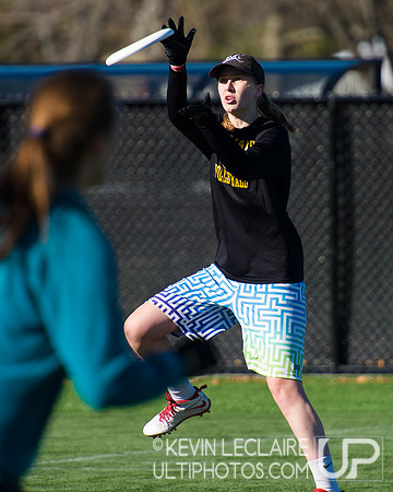 Harvard Ultimate Alumni v. current teams