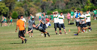 2014 USAU MA Reg D2 Men's