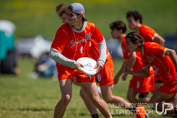 Day 2 of the USA Ultimate D-I College Championships