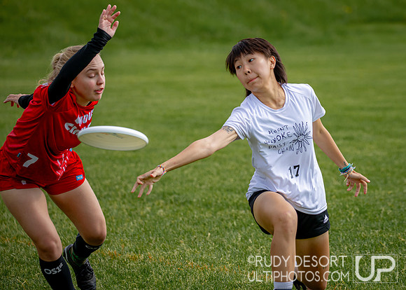 2024 USA Ultimate Division III College Championships ©