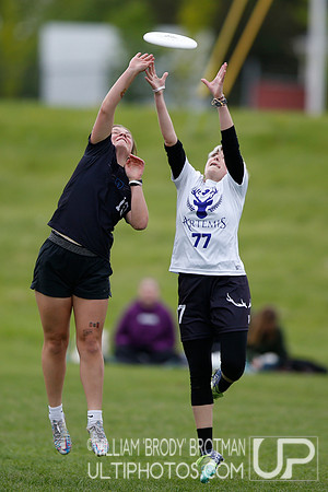 Day 1 of USA Ultimate 2022 D-III College Championships.