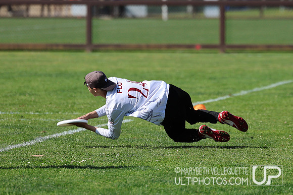 NorCal D1 Conference Championships