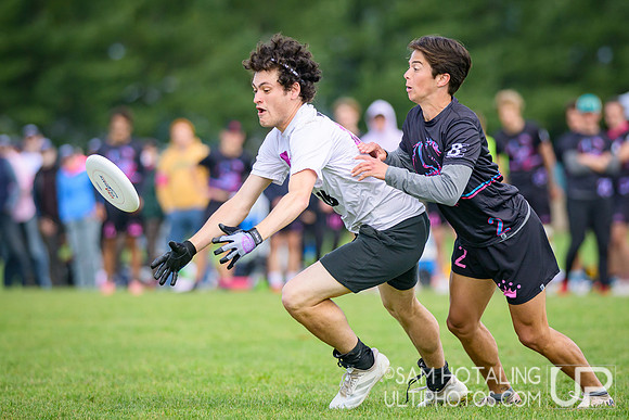 Middlebury Pranksters vs Rochester Piggies in quarterfinals at USAU D-III College Championships