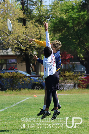 NorCal D1 Conference Championships