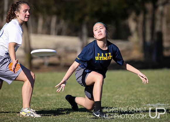Queen City Tune Up 2015 - Sunday