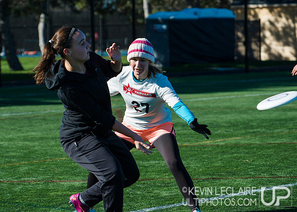 Harvard Ultimate Alumni v. current teams