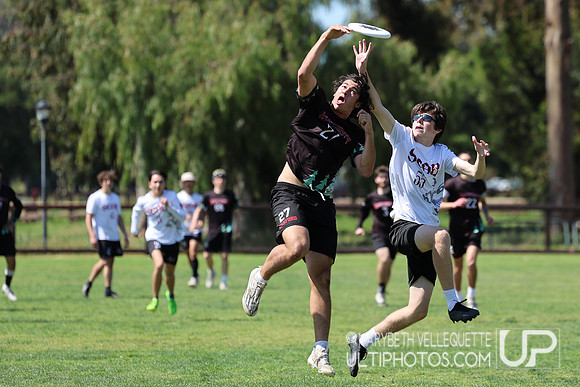 NorCal D1 Conference Championships