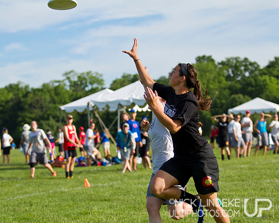2014 USAU D-I College Champs Sunday Action