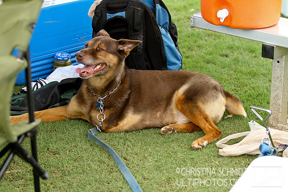 Saturday Photos - Club Terminus 2012