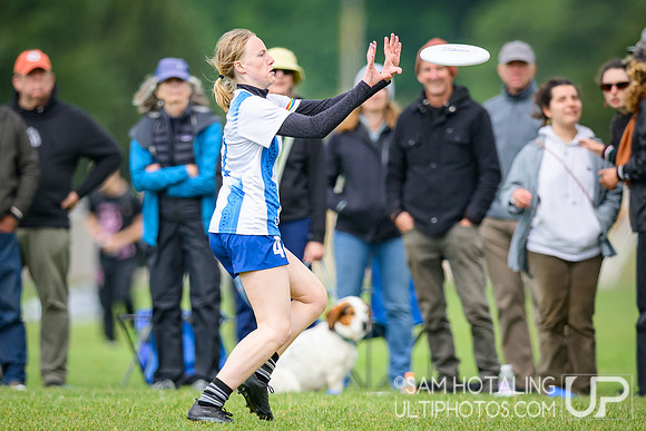 Semifinals at USAU D-III College Championships