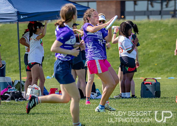 2024 USA Ultimate Division III College Championships ©