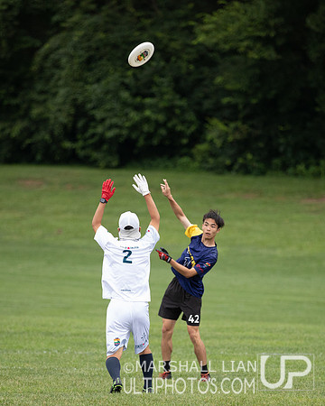 Fireflies vs IKU