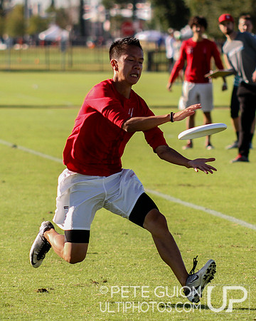 USAU Nationals 2014 Championships