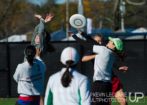 Harvard Ultimate Alumni v. current teams