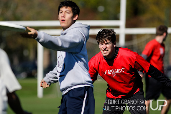 Bredline vs Alumni Game - Harvard Ultimate 40th Reunion