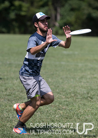 Capital Sectionals Sunday 2014