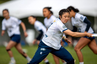 Day 1 of the USA Ultimate D-I College Championships