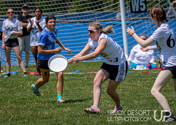 2024 USA Ultimate Division III College Championships ©