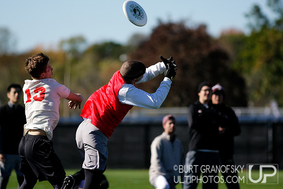Bredline vs Alumni Game - Harvard Ultimate 40th Reunion