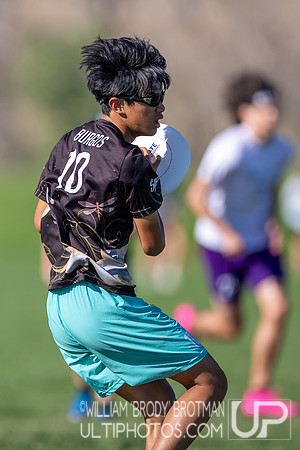 Day 2 of the USA Ultimate U.S. Open YCC Championships