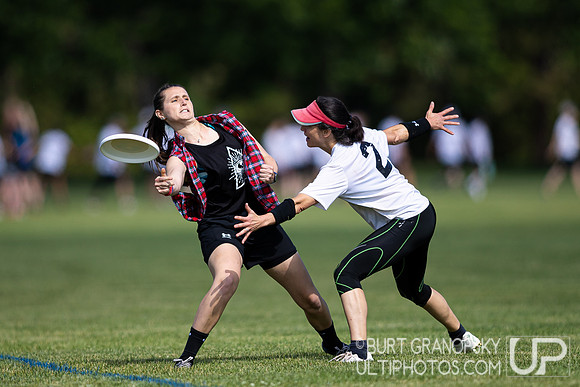 Saturday Action -- Mixed Easterns 2022