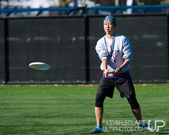 Harvard Ultimate Alumni v. current teams