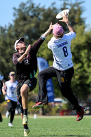 NorCal D1 Conference Championships