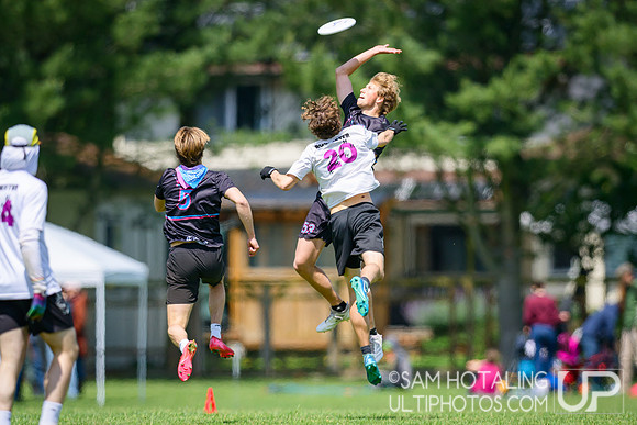 Middlebury Pranksters vs Rochester Piggies in quarterfinals at USAU D-III College Championships