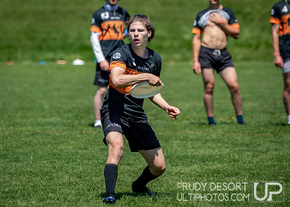 2024 USA Ultimate Division III College Championships ©