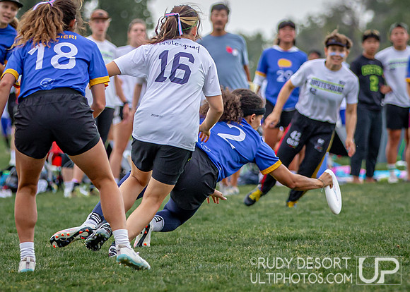 USA Ultimate US Open Championships 2025
